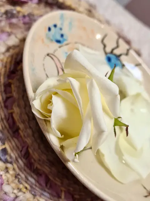 Terre d'émotion by Bérengère Clausse - Soins énergétiques & Boutique mieux-être à Libramont-Chevigny, Province de Luxembourg, Belique